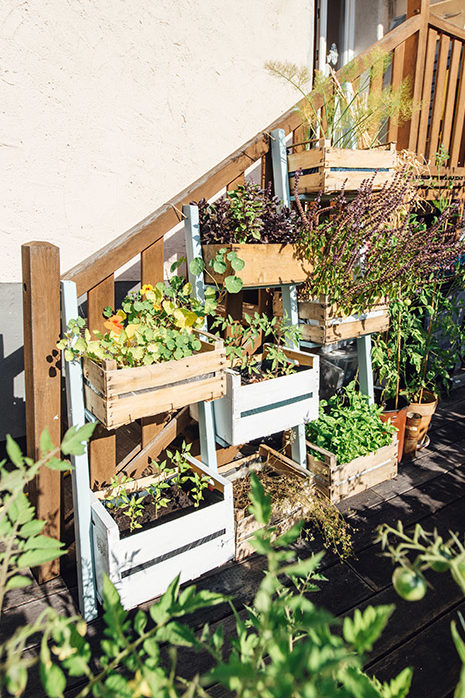 Thinking in terms of height: with "Vertical Gardening" you can make the most of the space on a small terrace
