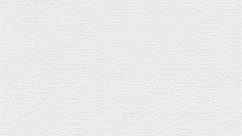 vinyl wallcovering white modern plain Simply White 355