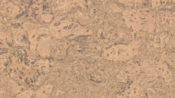 Wicanders cork flooring for gluing - Pure Personality Champagne (80000259)