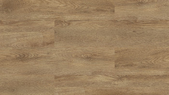 planeo click vinyl - Home Oak Honey | Impact sound insulation integrated (ASP-12001)