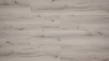 planeo click vinyl - Rigid oak rustic light grey (60061918-N)