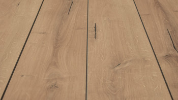 planeo TitanBoard HPL decking board oak nature