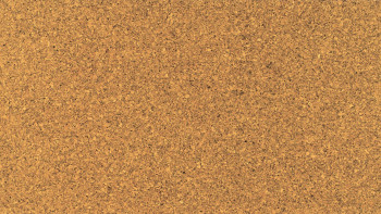 KWG cork flooring for gluing - Paco STD 60 G