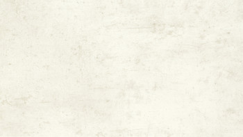 Plastic wall cladding - planeo StrongWall - Light Cement